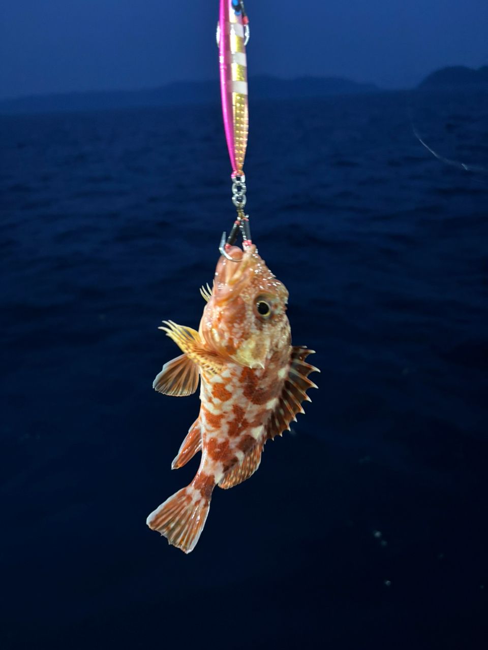 TENRYU ホライゾン プログレッシブの最安値・インプレ・釣果 | 本音の