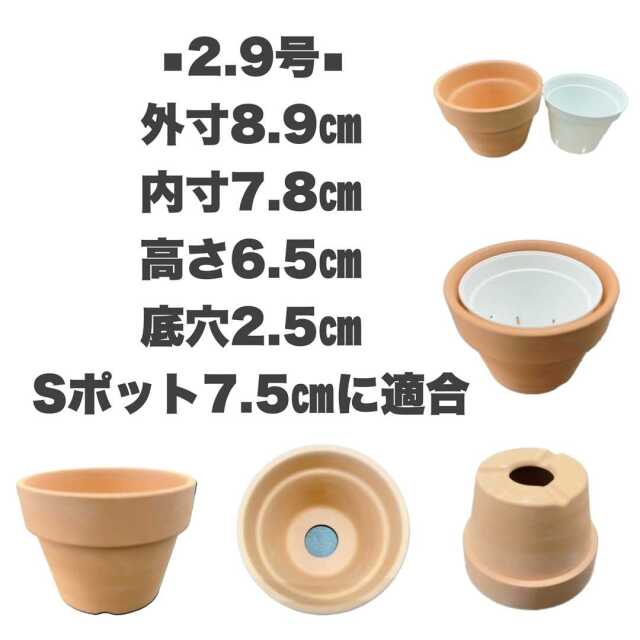 着せ替え 素焼き鉢 2.4号 中深 8枚セット 輸入品 洋蘭 富貴蘭 リメイク