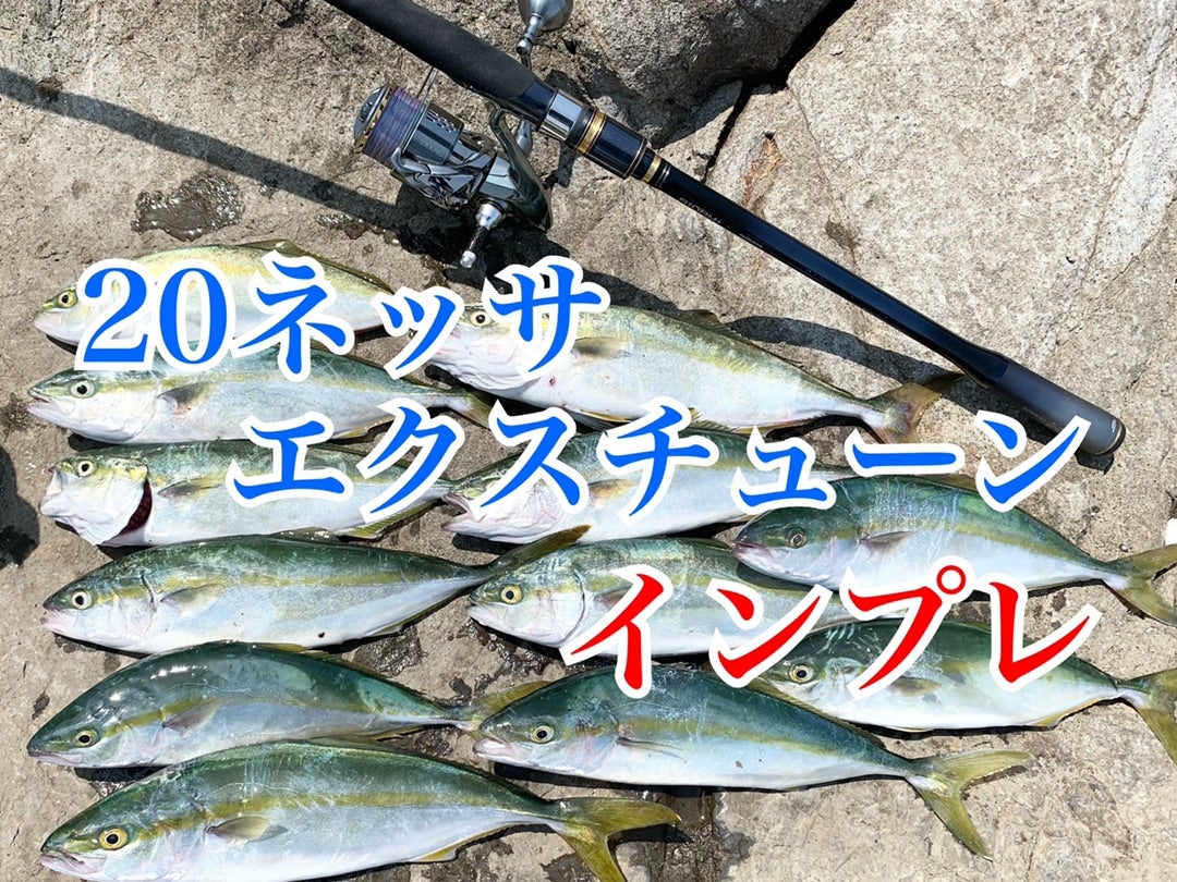 20ネッサエクスチューンS104M・108M+インプレ|特徴、違い、使い分け